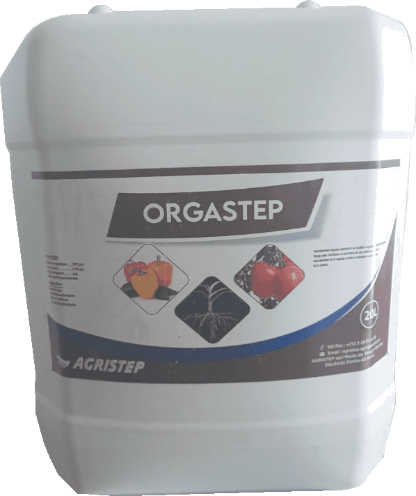 ORGASTEP