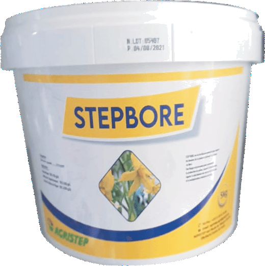 STEPBORE