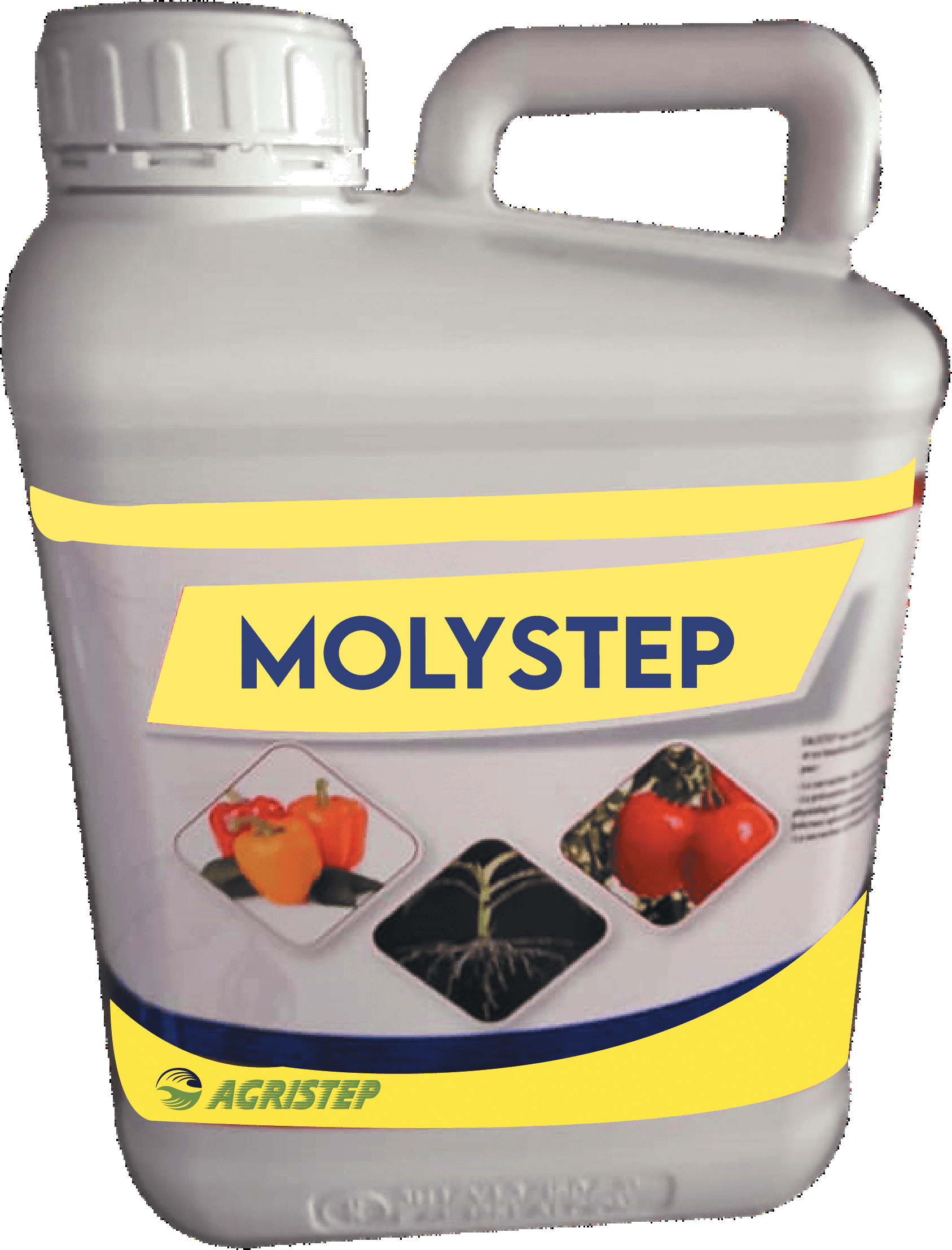 MOLYSTEP